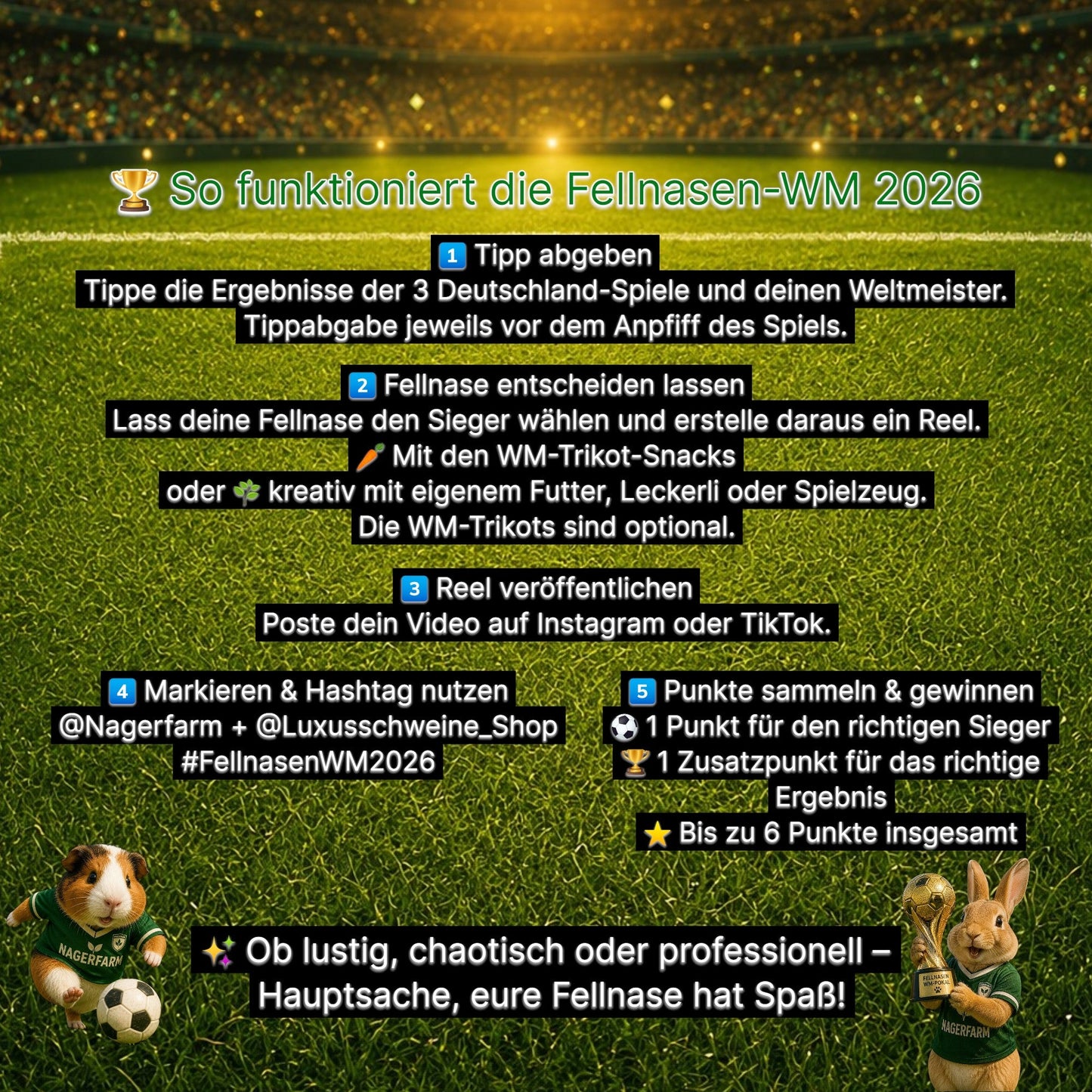 🏆 Fellnasen-WM 2026 – Offizielles Tipp-Set