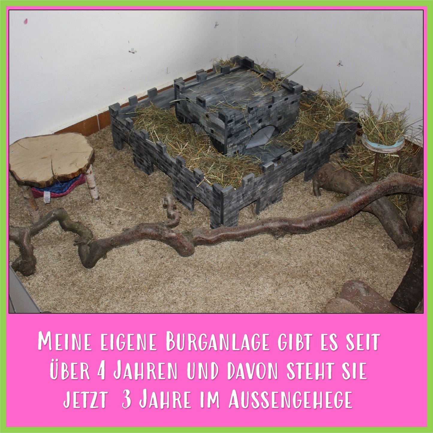 Die Burg - L - Nagerfarm