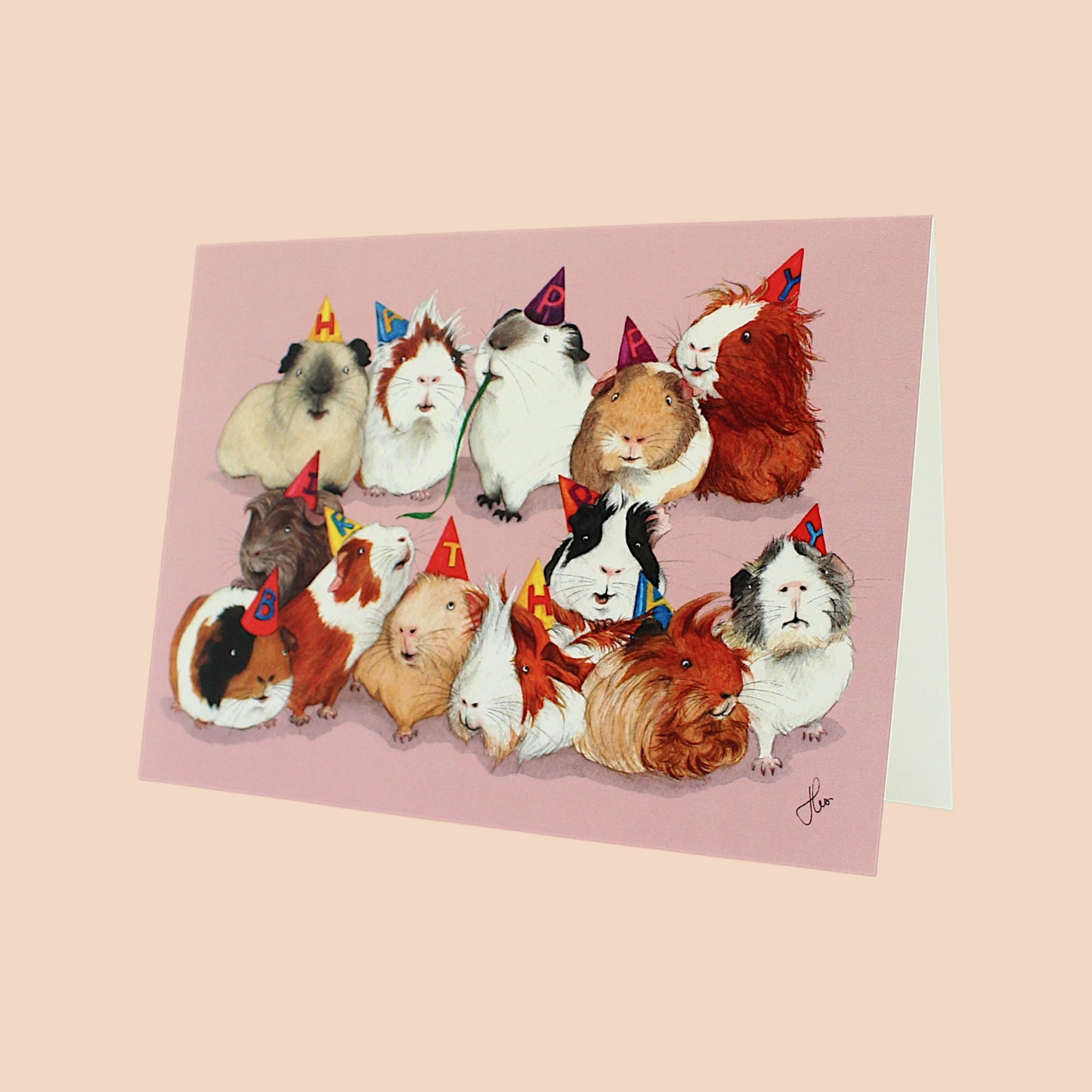 🎂„Happy Birthday“ – Geburtstagskarte mit Meerschweinchen