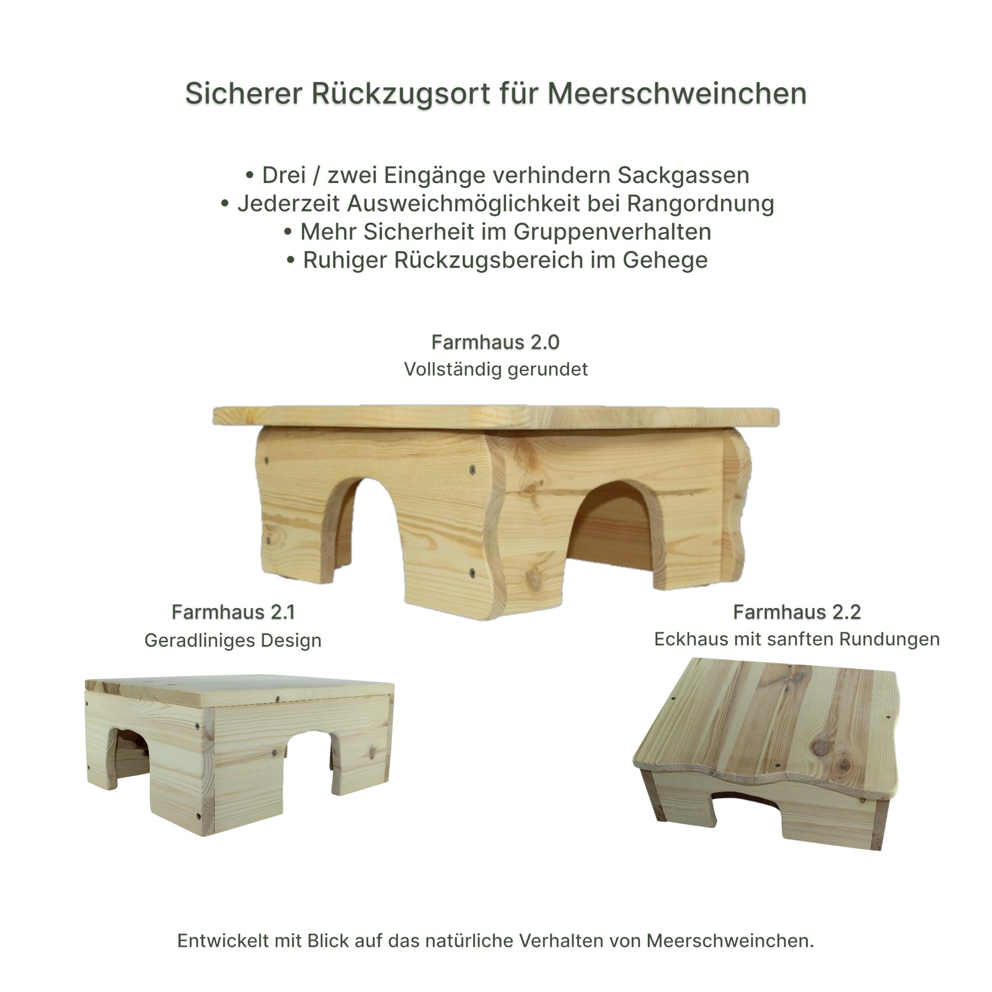 Detailansicht des Holz-Farmhauses mit sauber verarbeiteten Kanten