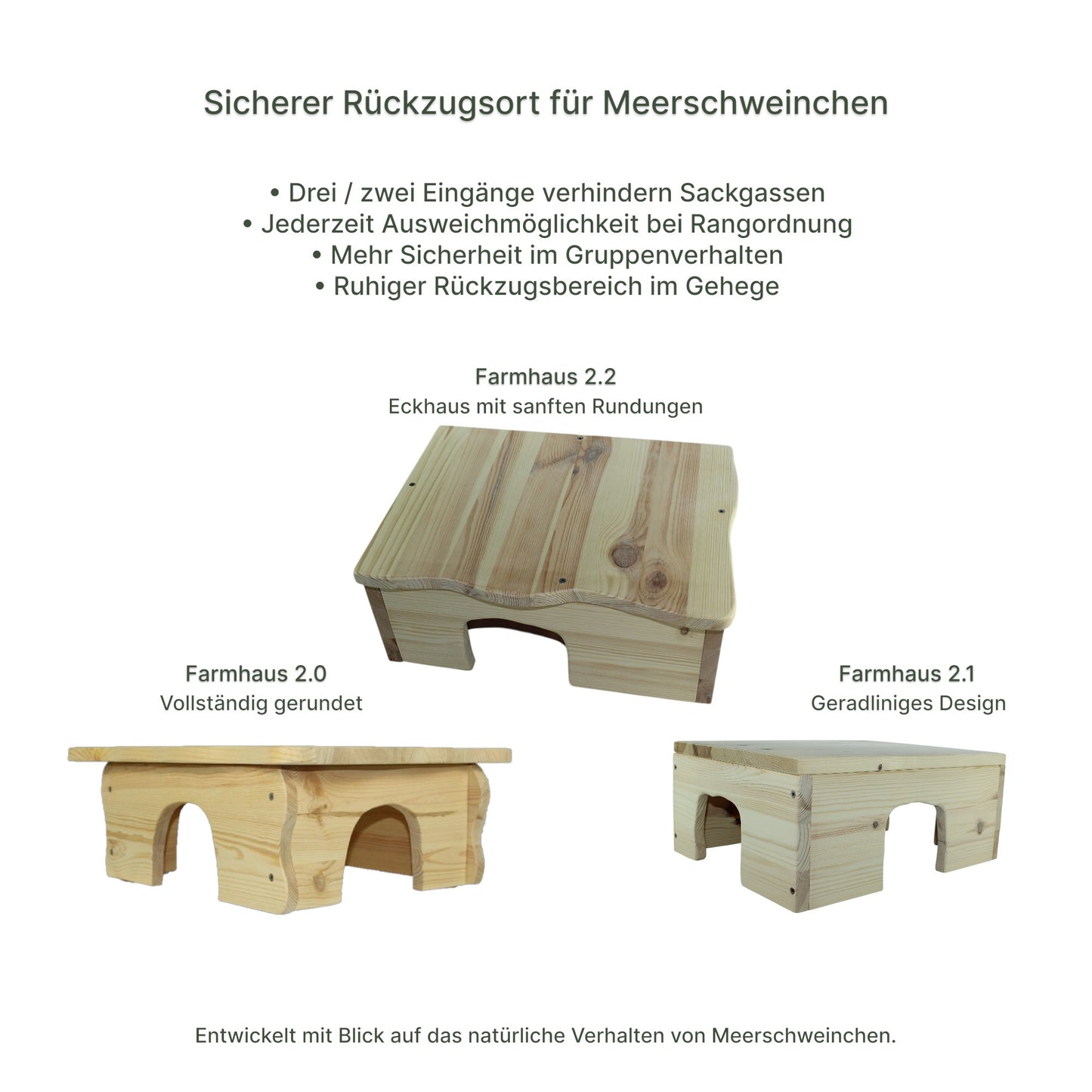 Detailansicht des Holz-Farmhauses mit sauber verarbeiteten Kanten