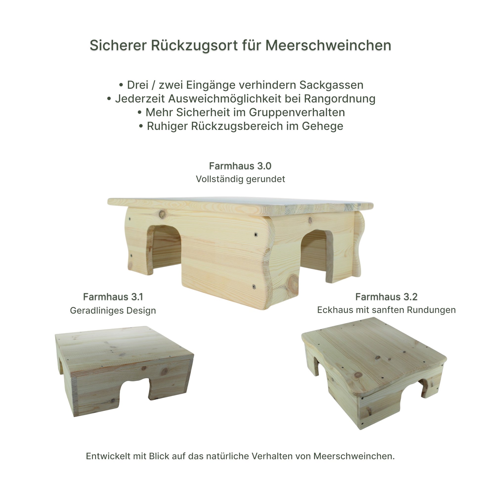 Detailansicht des Holz-Farmhauses mit sauber verarbeiteten Kanten