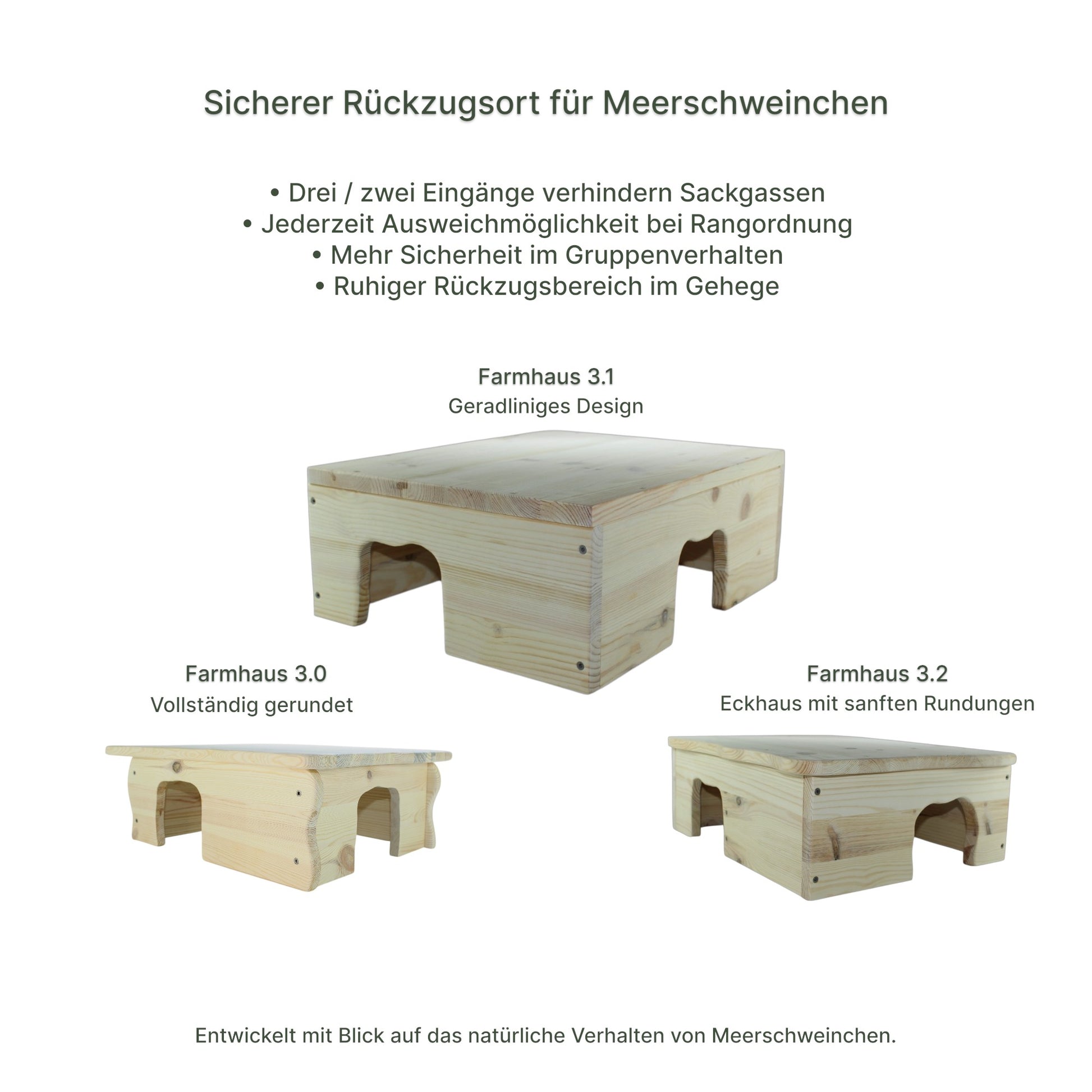 Detailansicht des Holz-Farmhauses mit sauber verarbeiteten Kanten