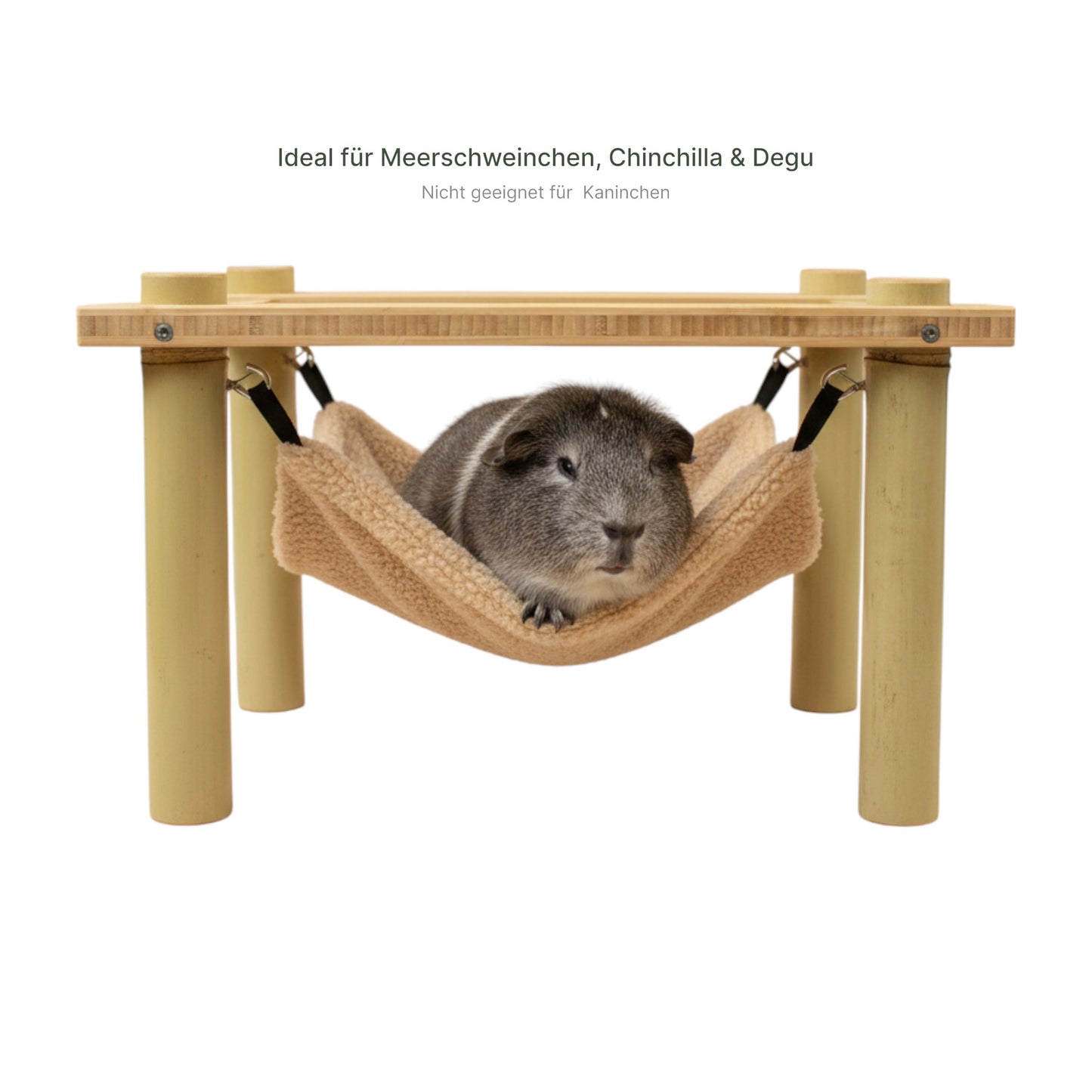 Meerschweinchen entspannt in Hängematte auf Bambus-Hängemattengestell