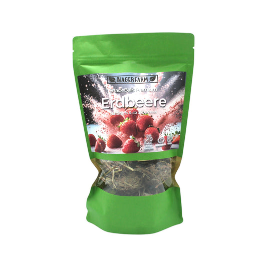 Snack Balls Premium – Erdbeere