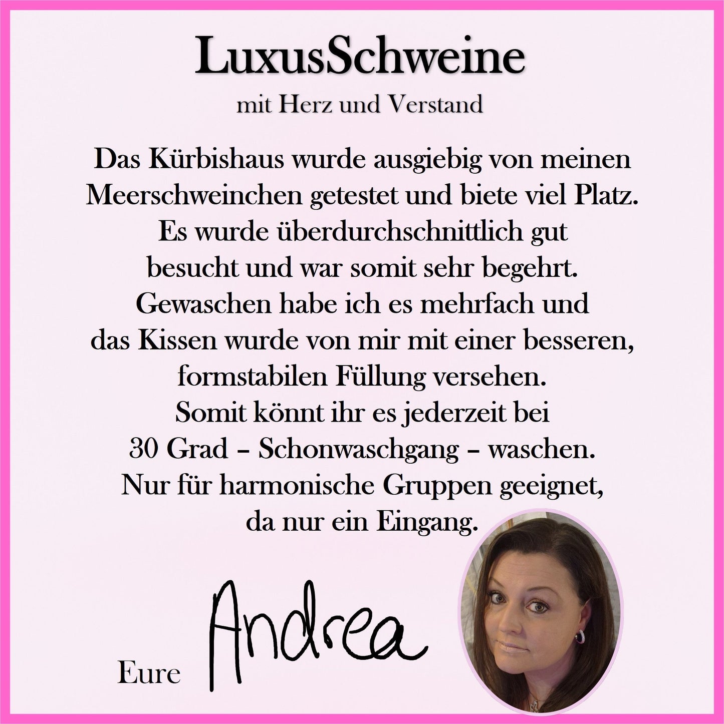 🏠🎃 Kürbishaus – Das Kuschelparadies für deine Meerschweinchen