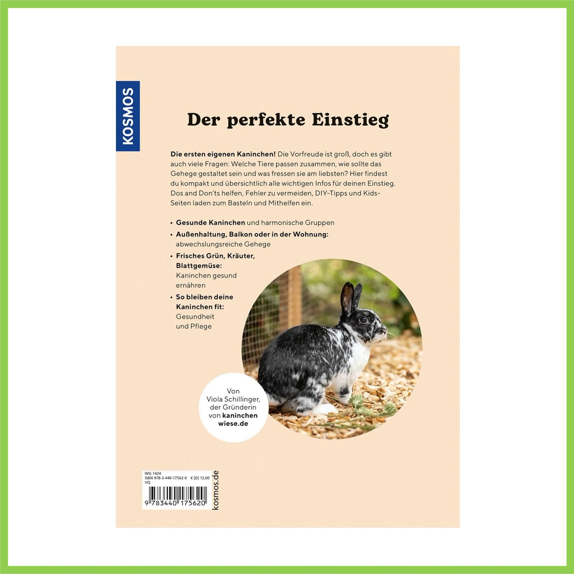Zwergkaninchen - Nagerfarm